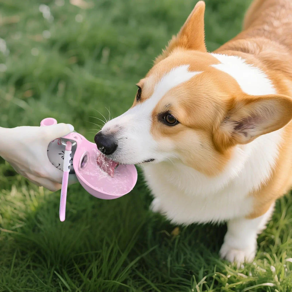 Botella de agua portátil para perros